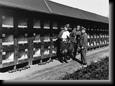 Rabbit Hutches at Dachau, 1943 * 520 x 383 * (110KB)